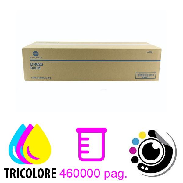 Original Tambour Konica Minolta DR620 (ACE60Y1) Couleur