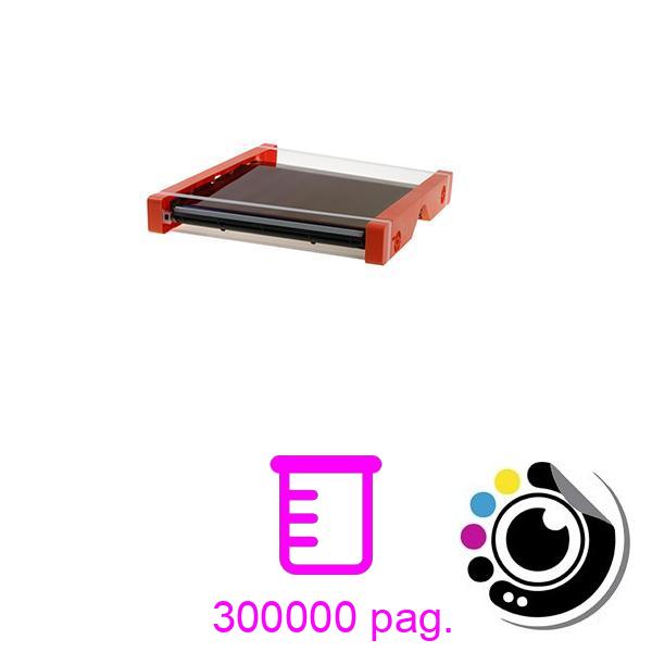 Compatible Banda De Transfer Konica Minolta Bizhub A161R73311